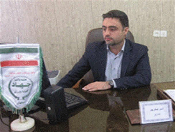 لوبیای نشایی در دهاقان به ثمر نشست