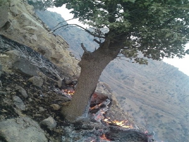 مهار آتش سوزی "کوه شیرن بادام" در موگرمون لنده