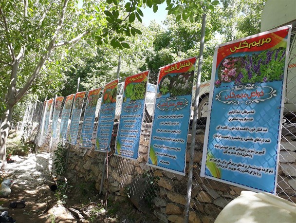 کشت گیاهان دارویی جایگزینی مناسب به جای کشت محصولات پر آب بر است