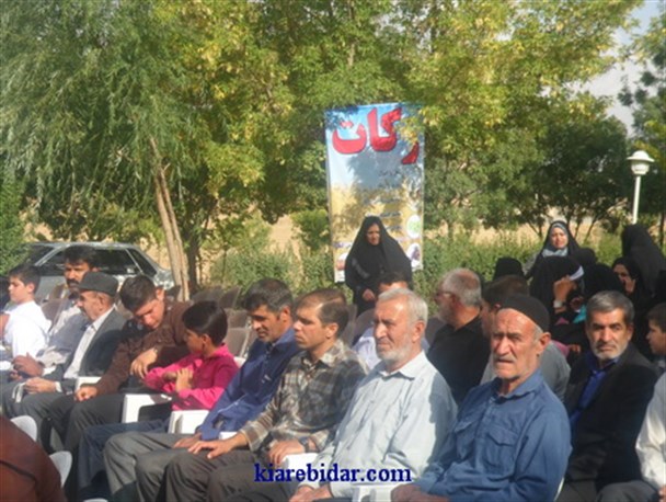 برگزاری جشن زکات انگور در شهر گهرو+تصاویر