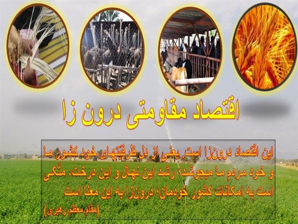 اقتصاد درون زا/گرافیک