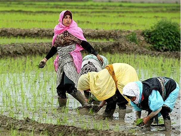 با حمایت از اشتغال زنان در روستا اقتصاد روستایی را توسعه دهیم