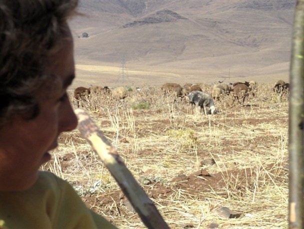 یک روز تابستانی با نوجوان روستایی+تصاویر