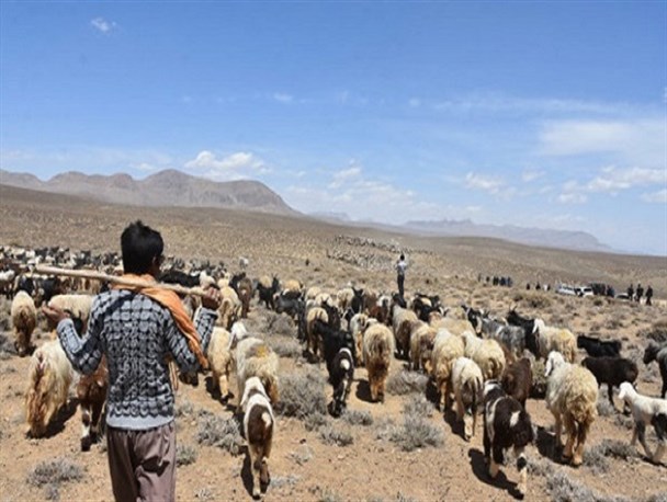 خشکسالی۴۰۰ میلیارد تومان به عشایر لرستان خسارت زد