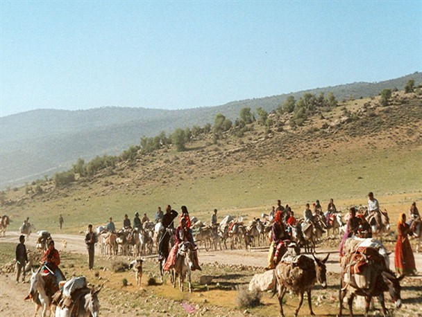 کوچ پاییزه 2 هزار خانوار عشایر به شهرستان جهرم