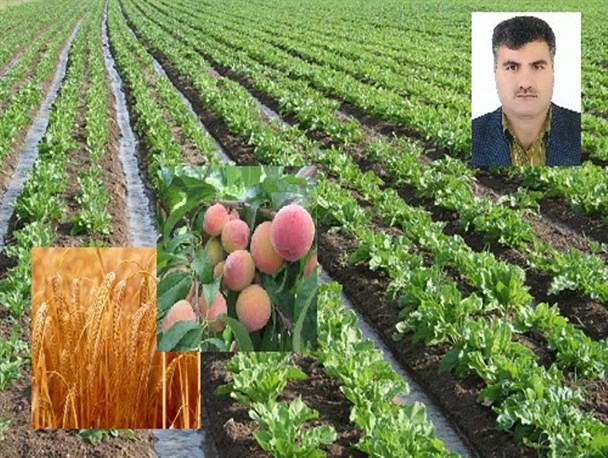 آقای استاندار مشکلات کشاورزان مهابادی را دریابید