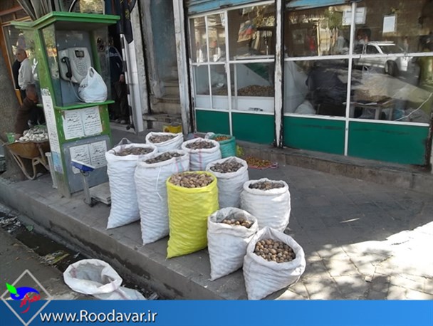 پایتخت گردو شدیم اما...طبل توخالی/آشفته بازار گردوی تویسرکان کی سامان می گیرد؟!