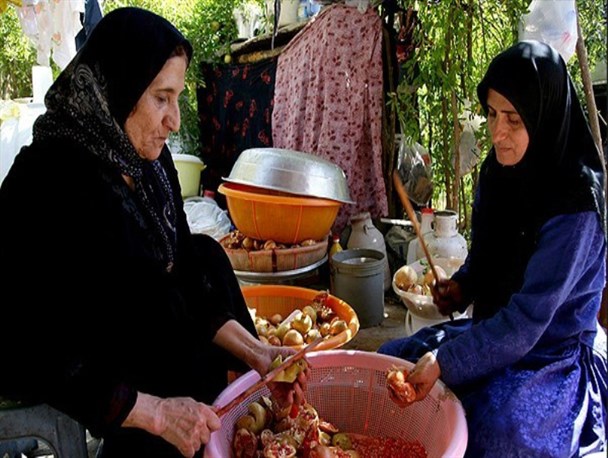 «ناردُنگ»،سنتی دیرینه در روستای دورک اناری+تصاویر