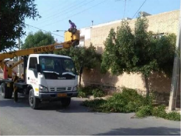 استمرار عملیات اصلاح و هرس درختان سطح شهر دیلم