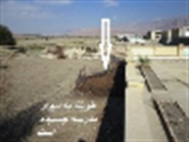 تصاویر/ همزیستی هنرستان با طویله گوسفندان