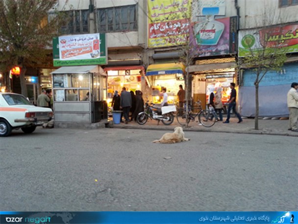 جولان سگ‎های ولگرد در خیابان‎ امام خوی