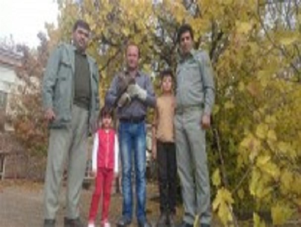 رهاسازی یک گونه عقاب نادر در شهرستان آبیک