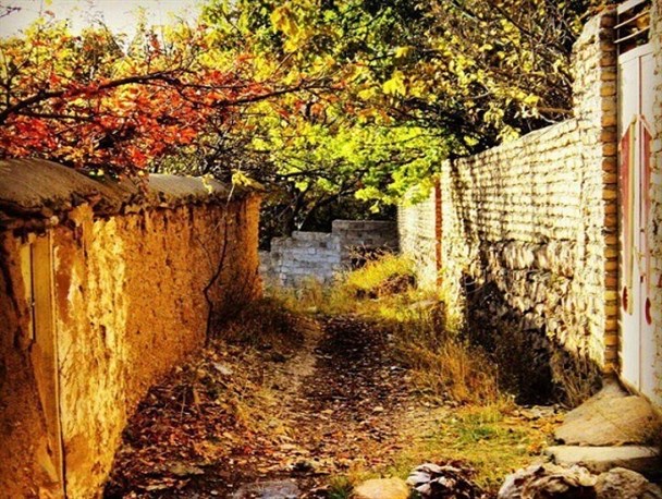 پاییزهزاررنگ در منطقه سرچشمه شهمیرزاد