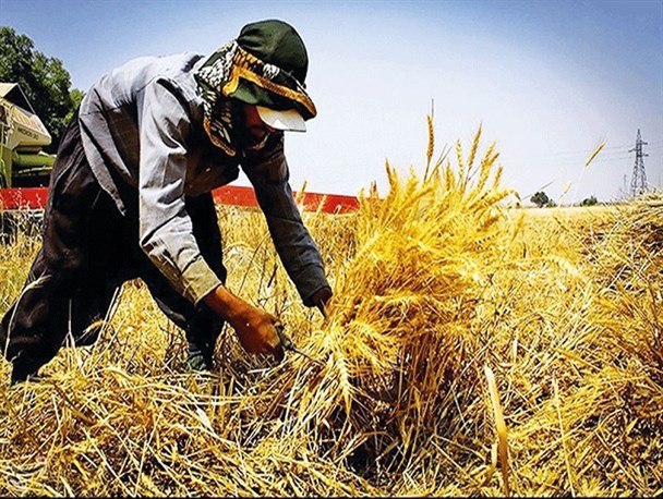 وقتی گنج‌های پیدا و پنهان دیده نمی‌شود/ نادیده گرفتن ظرفیت عظیم روستاها در تولید کالاهای اساسی