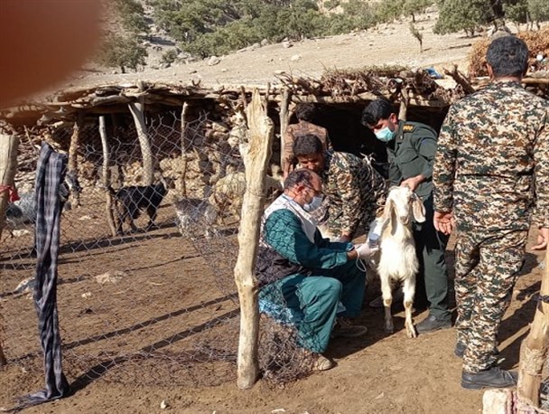 سه هزار راس دام سبک و سنگین در باشت رایگان واکسینه شدند+تصاویر