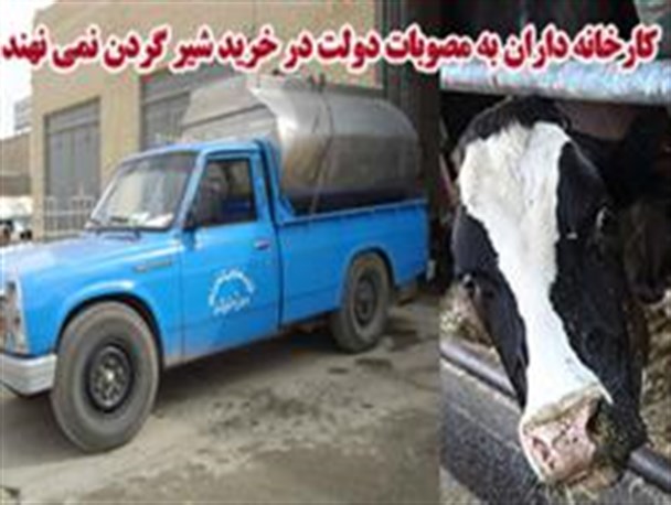 دامداران آذربایجان غربی غرق در مشکلات شیر