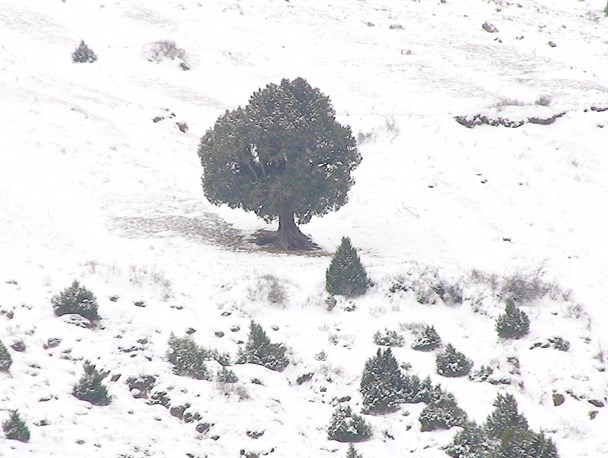 چشم انداز زمستانی روستای تیل بخش شاهرود خلخال