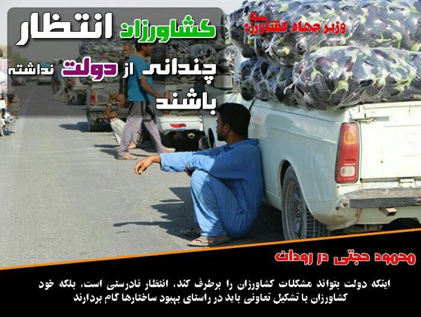 کشاورزان انتظار چندانی از دولت نداشته باشند/ عکس نوشته