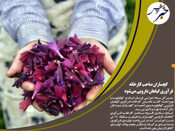 گچساران صاحب کارخانه فرآورده‌های گیاهی می‌شود/ رشد ۲۹درصدی اعتبارات کهگیلویه‌وبویراحمد در لایچه بودجه