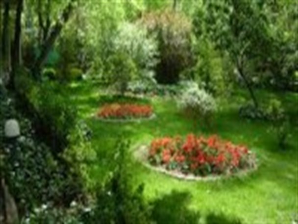 گره آلودگى هوا با توسعه کمربند سبز باز مى شود