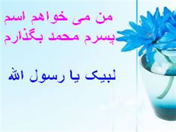 تصاویر و مطالب مردم منوجان در خصوص عشق وعلاقه به رسول الله (ص)