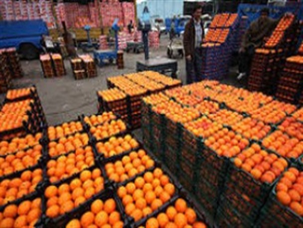 نیازی به واردات پرتقال نداریم/14 هزار تن پرتقال برای شب عید ذخیره می‌شود
