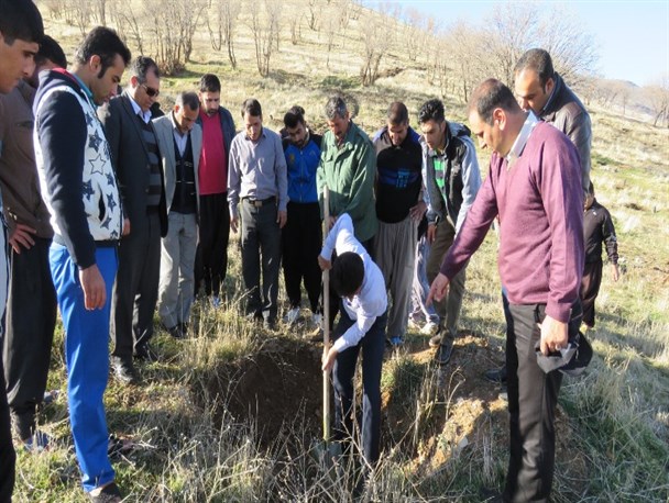 نهال کاری دامنه کبیرکوه توسط مددجویان زندان دره شهر /تصاویر