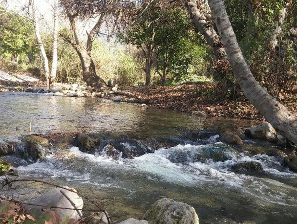 تجربه ای شگف انگیز در باغ زیبای چشمه بلقیس چرام + تصاویر