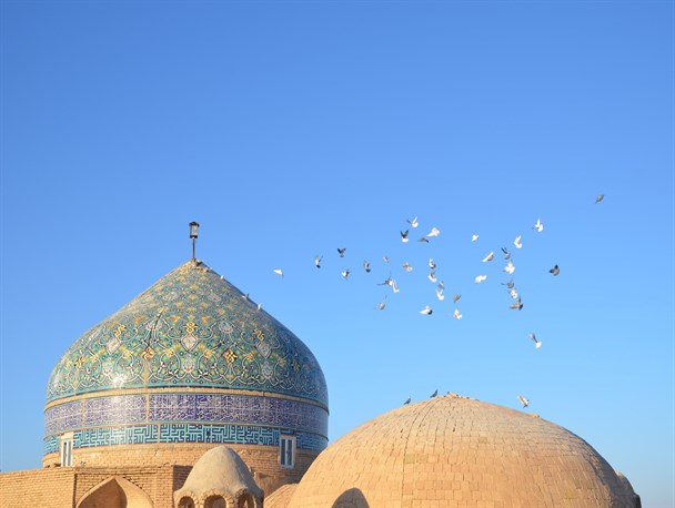 خطر ریزش گنبد؛ بنای تاریخی 500 ساله اردکان را تهدید می کند + عکس