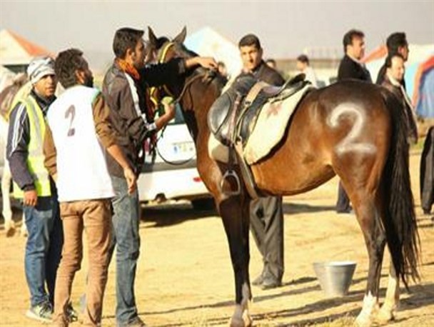 برگزاری سومین دوره مسابقات استانی سواری استقامت در شوشتر