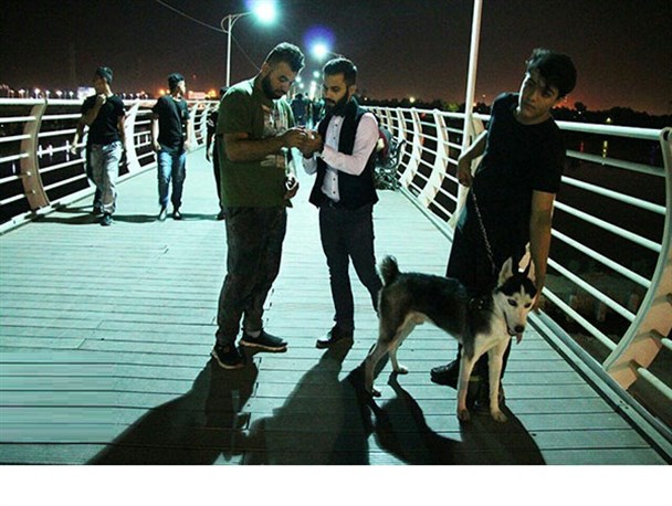 شیوع تب سگ گردانی در پارکهای اهواز/ درپی بی توجهی متولیان فرهنگی پل طبیعت اهواز پاتوق هنجارشکنان شد