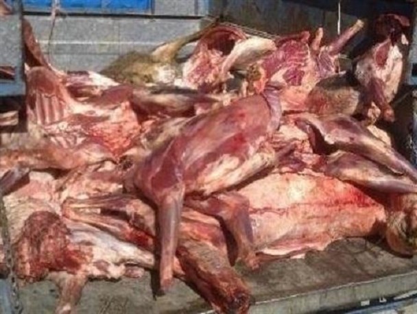 کشف ۵۵ تن فرآورده گوشتی غیر بهداشتی در طول یک هفته در تبریز