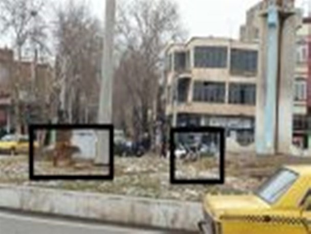 جولان سگهای ولگرد در مرکز شهر خوی