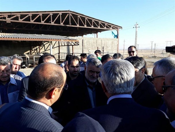انتقاد دبیر انجمن دامداران استان مرکزی به وزیر جهاد کشاورزی+فیلم