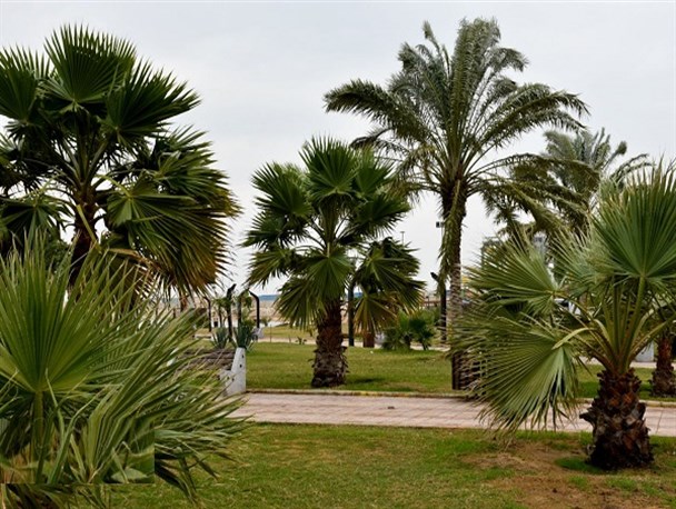 فصل حضور گردشگران در استان بوشهر آغاز شد/ پیش بینی سفر ۱۲ میلیون گردشگر به جنوب