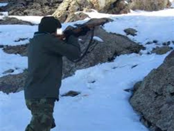 اخبار کوتاه محیط زیست شهرستان فیروزکوه