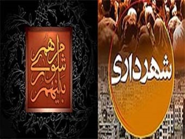 40 سگ ولگرد اتلاف شد/ با وجود تلاش های شهرداری، باز هم مردم شاکی هستند!