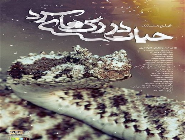 مستند ساز سیروانی به نخستین جشنواره‌ بین المللی فیلم‌های علمی راه یافت
