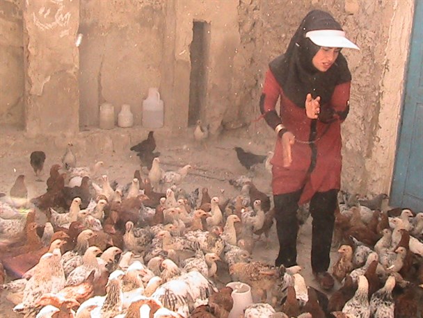 بانوان بسیجی عرصه اقتصاد مقاومتی در شهرستان بهمئی را بشناسید + تصاویر