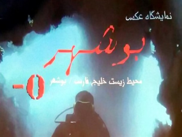 محیط زیست دریایی بوشهر به روایت تصویر
