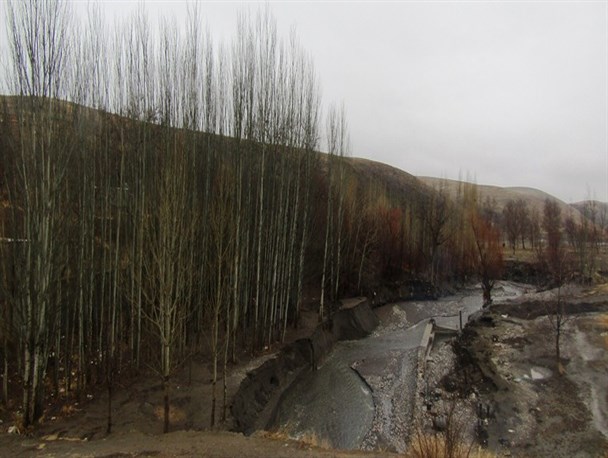 بارش باران زمستانی طبیعت همدان را دیدنی کرد+عکس