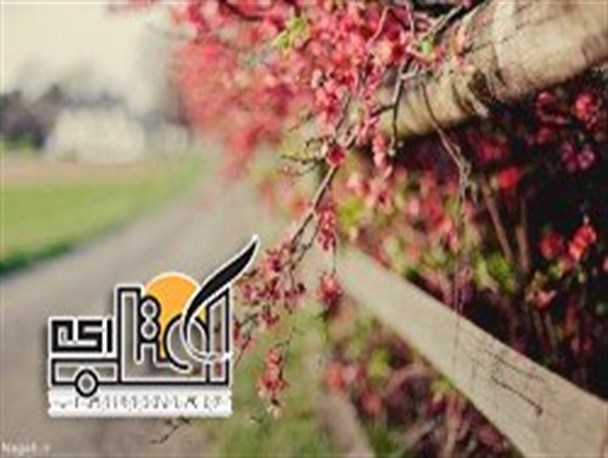 بهار که از راه می‌رسد. . .