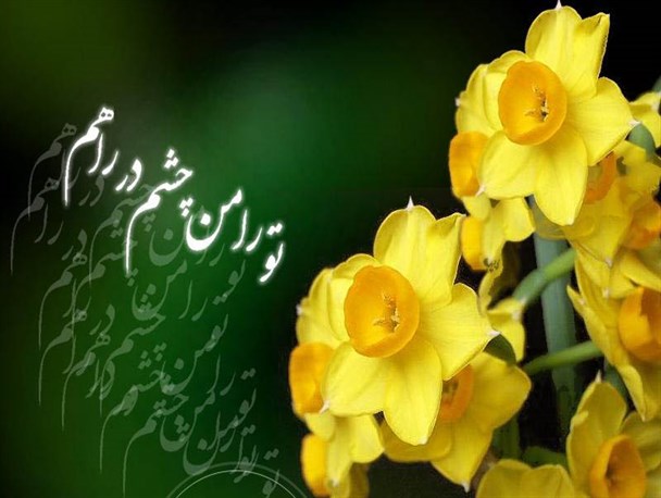 نوروز روز ظهور یوسف زهراست/ تو را من چشم در راهم ای بهار امیدم