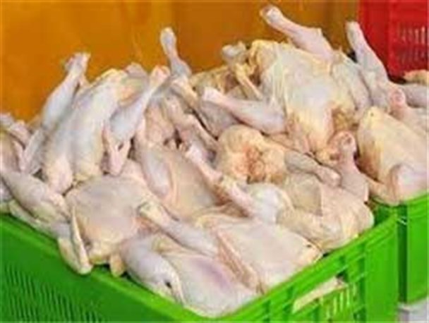 صادر کننده و سومین استان تولید کننده مرغ کشور هستیم اما باید کیلویی 8000 تومان آن را بخریم !