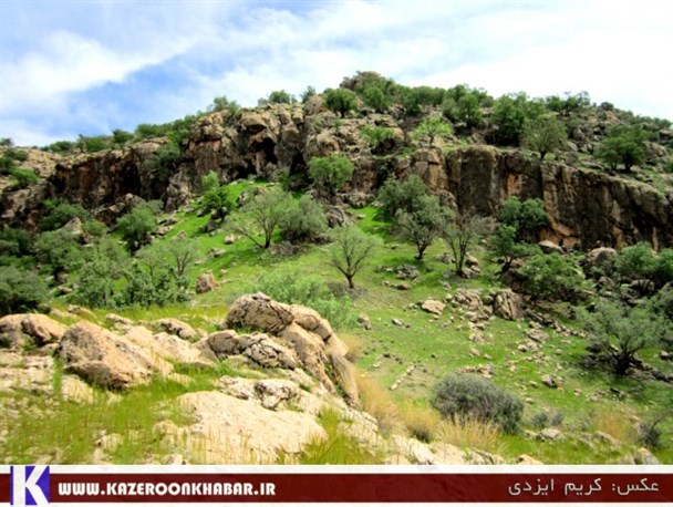 طبیعت بهاری نودان کازرون در قاب دوربین