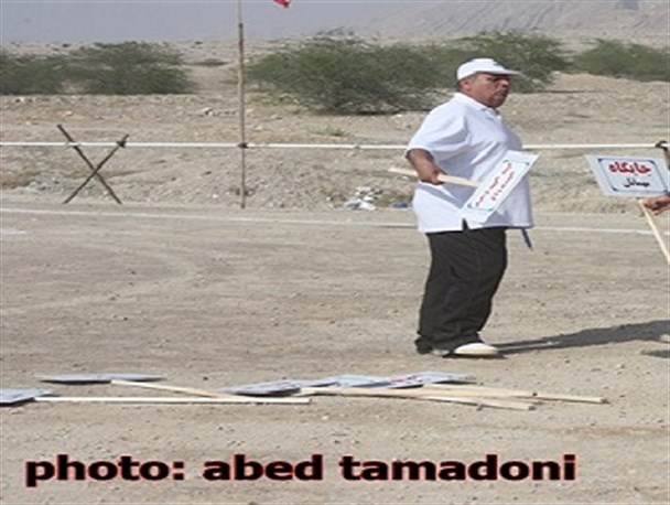 دو جشنواره به استان واگذار شده که هر دو آنها در تنگستان برگزار گردیده است