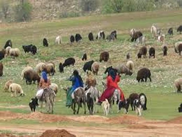 آغاز کوچ عشایر گچساران از نیمه دوم بهار