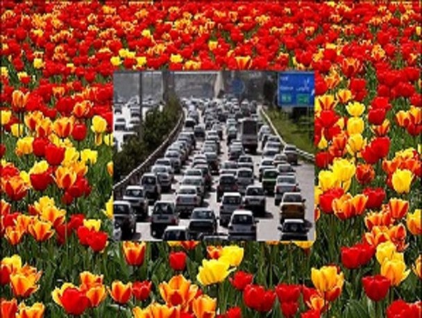 جشنواره لاله ها در کرج و معضل همیشگی ترافیک/ محمدشهر؛ گزینه ای مناسب برای انتقال جشنواره است