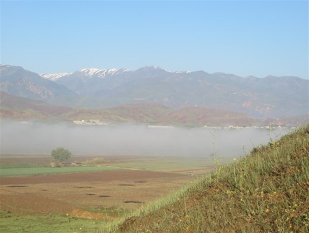 طارم جلوه ای باشکوه از زیبایی و چشم نوازی طبیعت+تصاویر