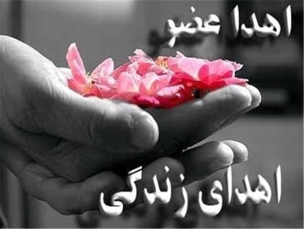بیش ۵۰نفر در همدان نیازمند پیوند کلیه هستند/ اهداء عضو ۲۴نفر بیمار مرگ مغزی در همدان